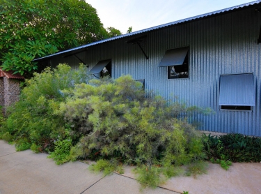 Sidney Williams hut in Westralia St, Darwin. Architect Jo Rees
