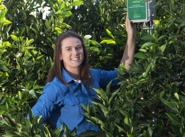 Croplogic agricultural services - staff in Mildura: Cedric Geffen and Talitha Gollan. Grape production, almonds and citrus