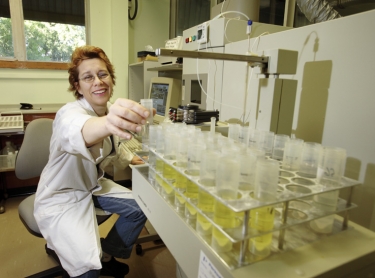 Scientist examines samples