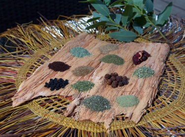 Nitmiluk NP - Cicada Lodge tourism resort - tourism destination - native foods and herbs - bush tucker