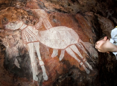 The Top End of Australia during the wet season flying in a helicopter, from the floodplains around the Adelaide River to Arnhem Land near the East Aligator River. Aboriginal rock art site in western Arnhem Land depicts early white explorer Ludwig Leichhardt atop a horse which has chest and knee protection, just as Leichhardt's party had when they crossed from the Darling Downs to Victoria Settlement on the northern coast. The horse has its tail raised and is pissing. Catherine Hunter checks the painting out.