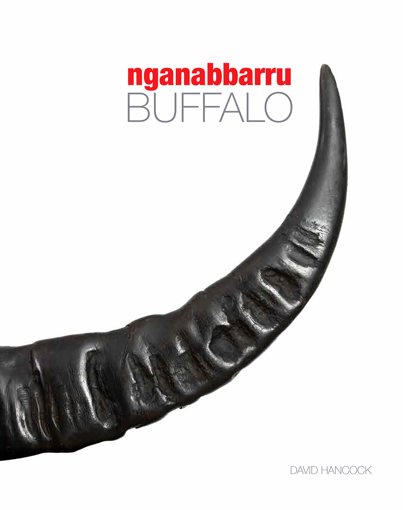 Nganabbarru Buffalo